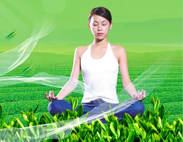 哪里可以做假套牌手续